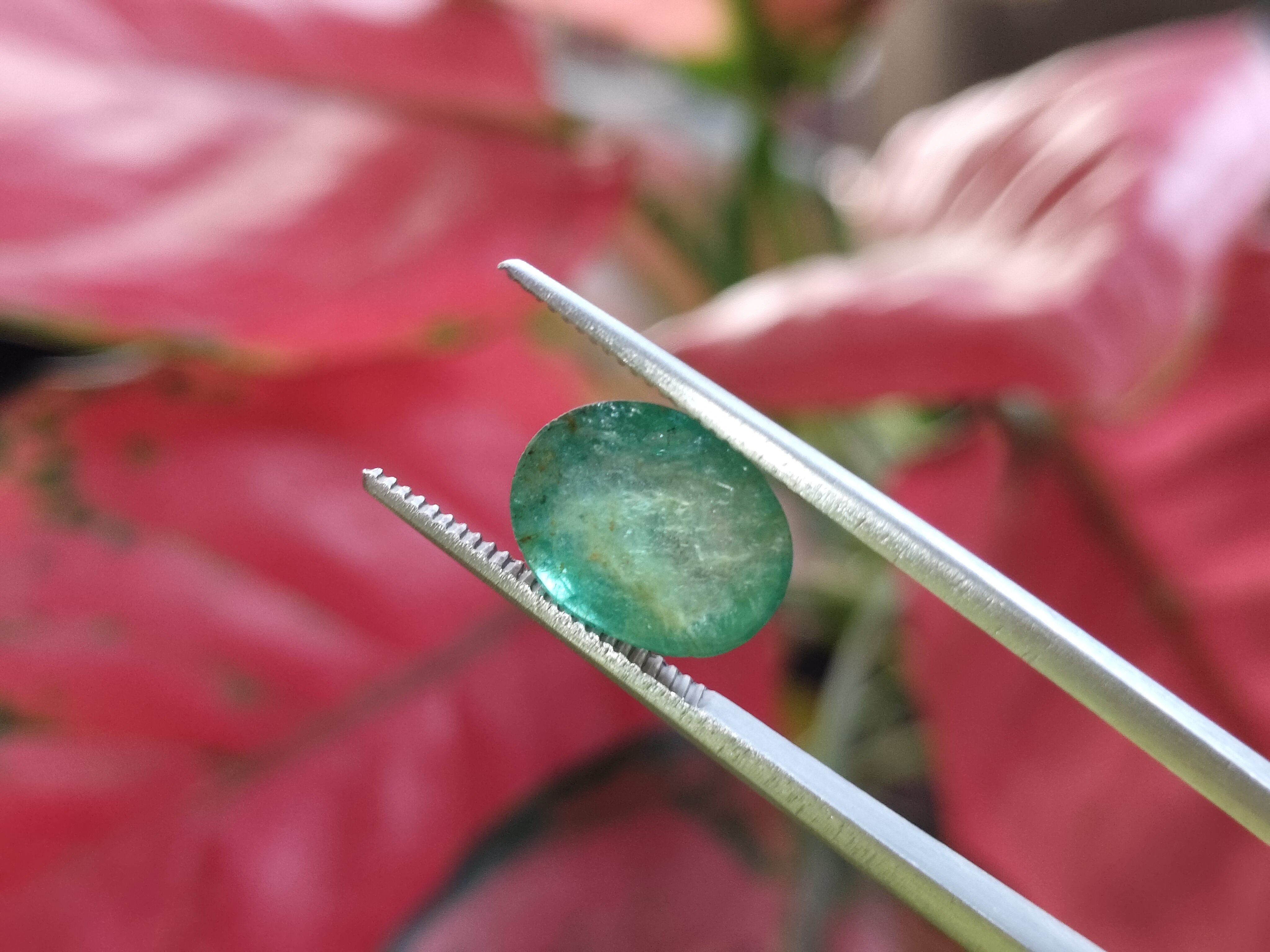 Zambian Emeralds | Natural Certified Premium Quality
