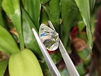 Moissanite Pear Cut | GRA Certified Moissanite Pear Cut | GRA Certified