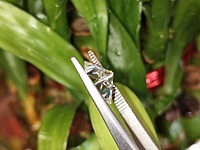 Moissanite Princess Cut | GRA Certified Moissanite Princess Cut | GRA Certified