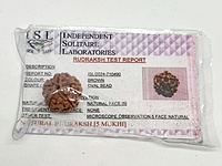 Rudraksha 6 Mukhi | Natural Certified Rudraksha 6 Mukhi | Natural Certified