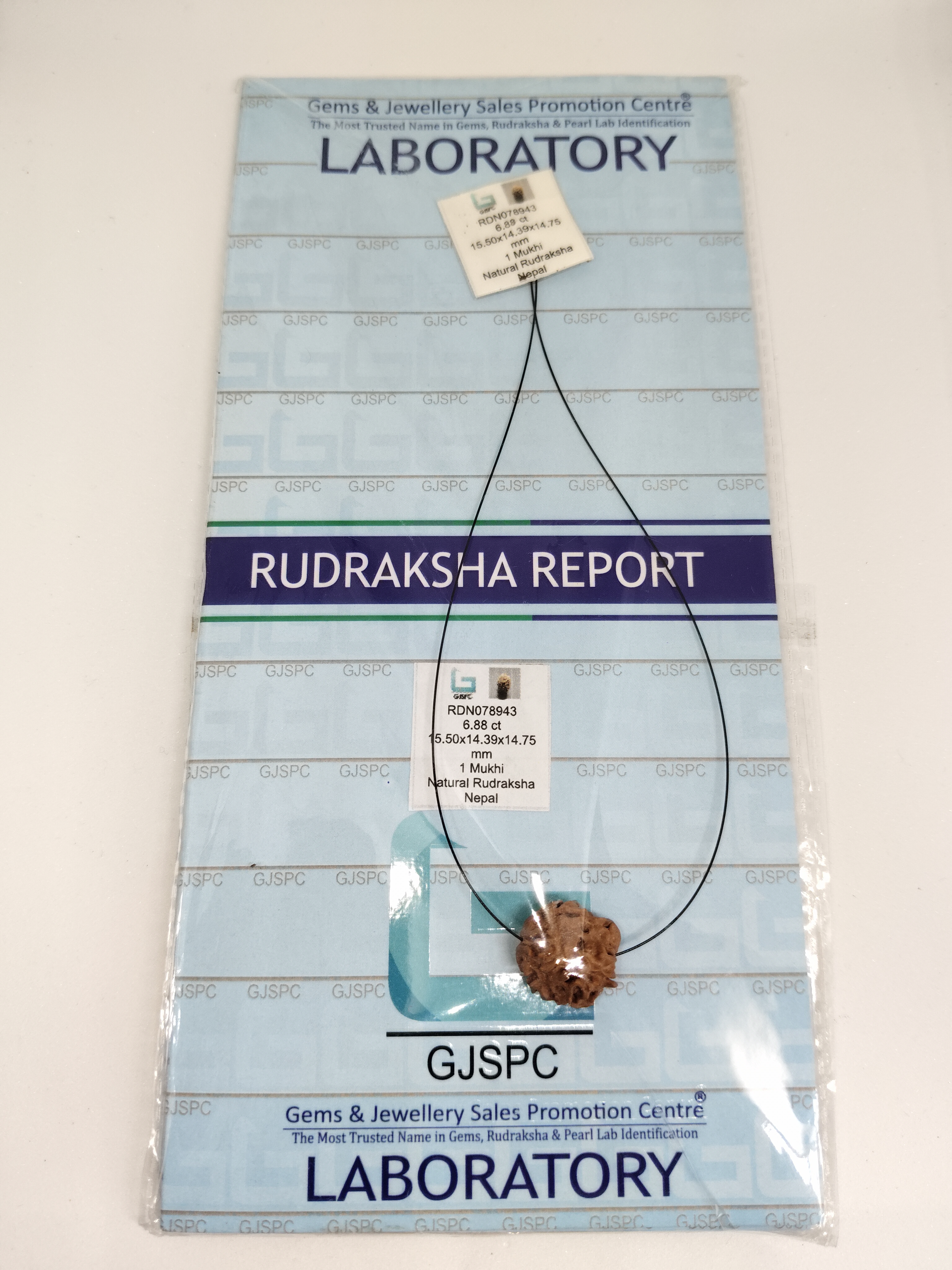 Rudraksha 1 Mukhi | Nepal Origin