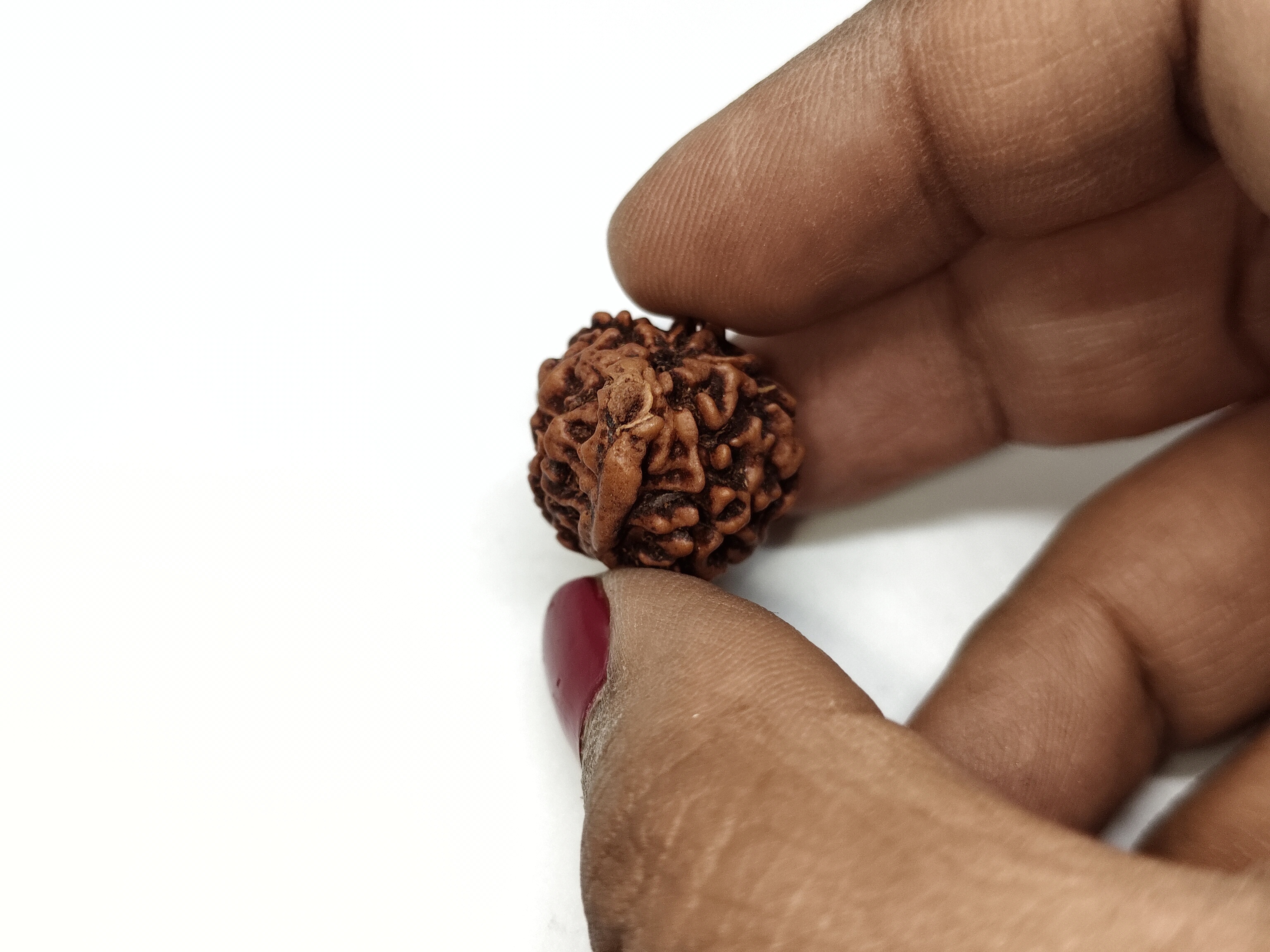 Ganesh Rudraksha | Nepal Origin Ganesh Rudraksha | Nepal Origin
