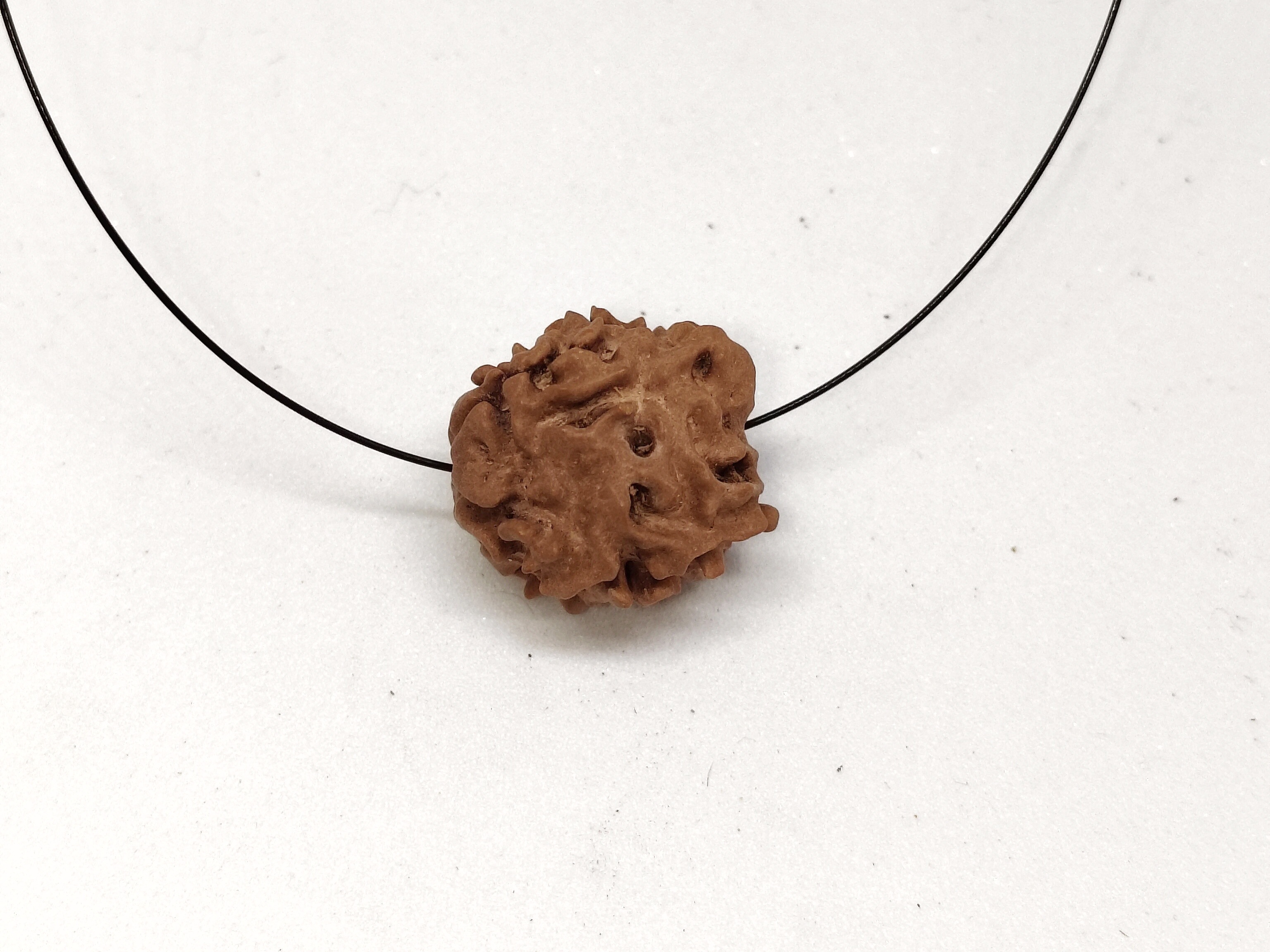 Rudraksha 1 Mukhi | Nepal Origin