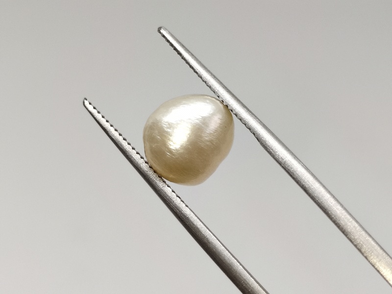 Fresh Water Pearl | Cultivated Natural Certified Fresh Water Pearl | Cultivated Natural Certified